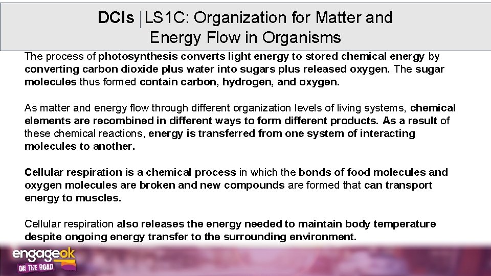 DCIs LS 1 C: Organization for Matter and Energy Flow in Organisms The process