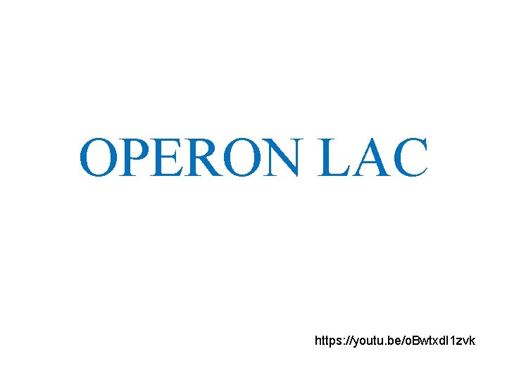 OPERON LAC https: //youtu. be/o. Bwtxd. I 1 zvk 