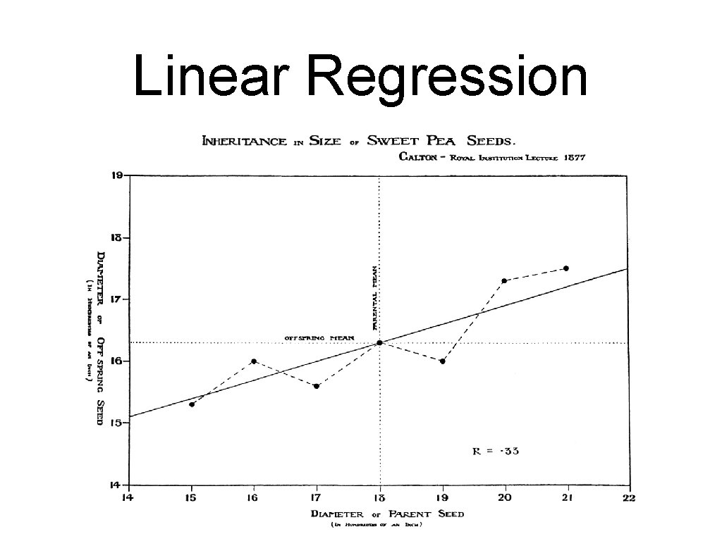 Linear Regression 