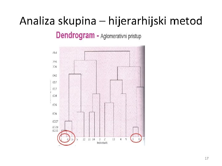 Analiza skupina – hijerarhijski metod 17 