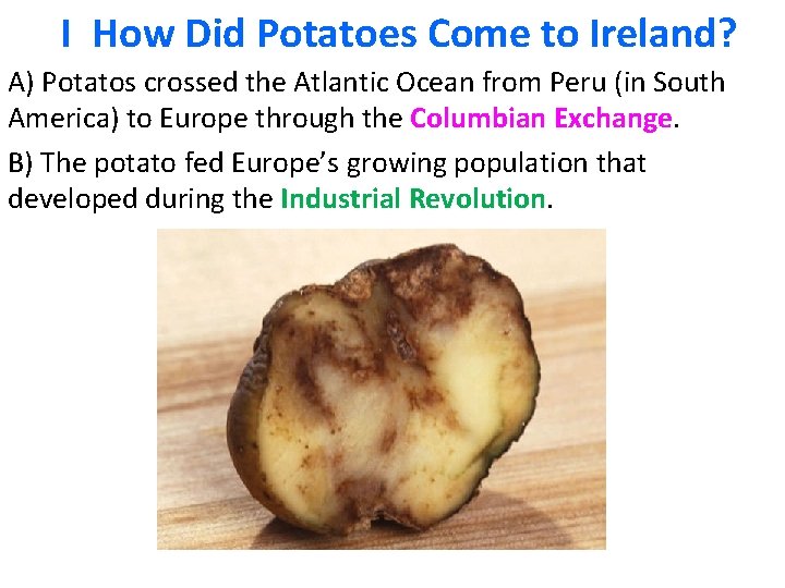I How Did Potatoes Come to Ireland? A) Potatos crossed the Atlantic Ocean from