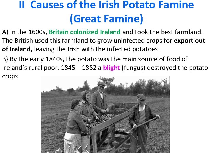 II Causes of the Irish Potato Famine (Great Famine) A) In the 1600 s,