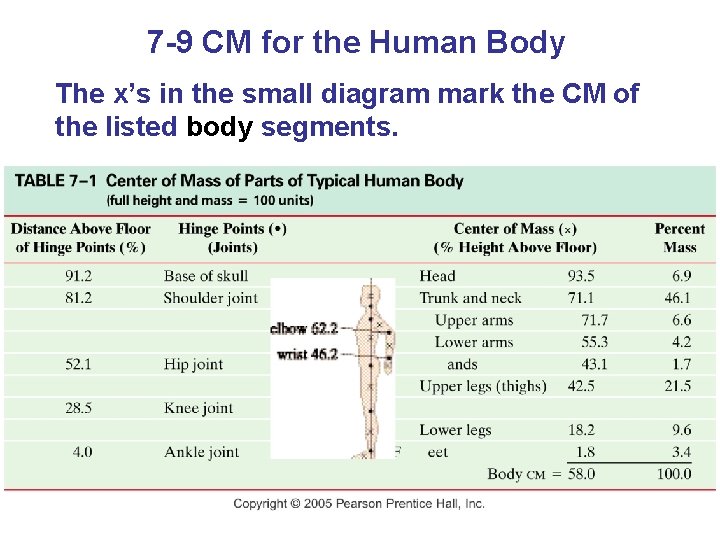 7 -9 CM for the Human Body The x’s in the small diagram mark