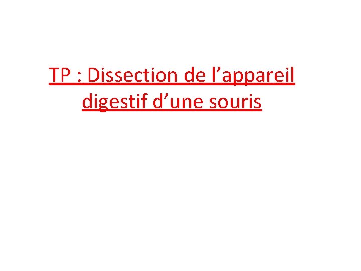 TP : Dissection de l’appareil digestif d’une souris 