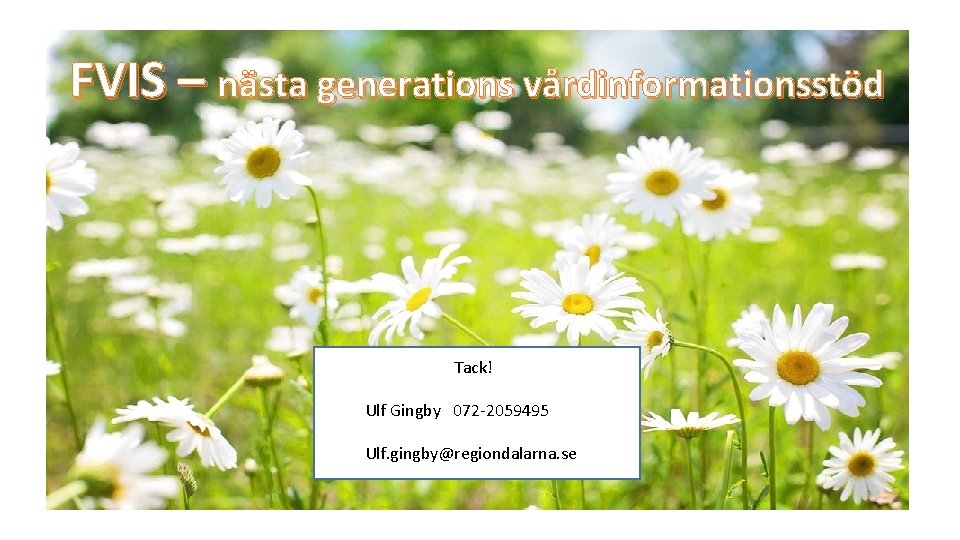 FVIS – nästa generations vårdinformationsstöd Tack! Ulf Gingby 072 -2059495 tack Ulf. gingby@regiondalarna. se