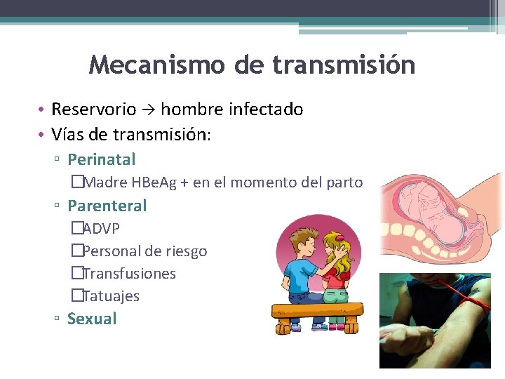 Mecanismo de transmisión • Reservorio hombre infectado • Vías de transmisión: ▫ Perinatal �Madre