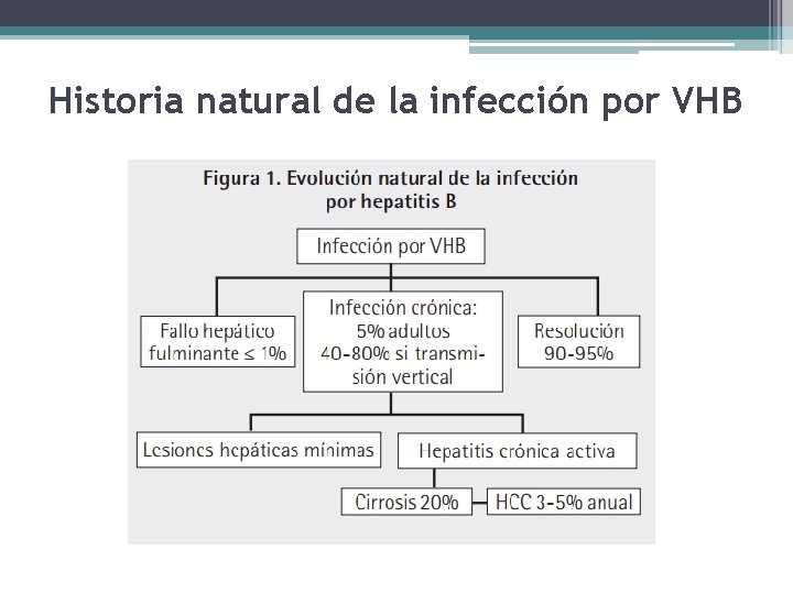 Historia natural de la infección por VHB 