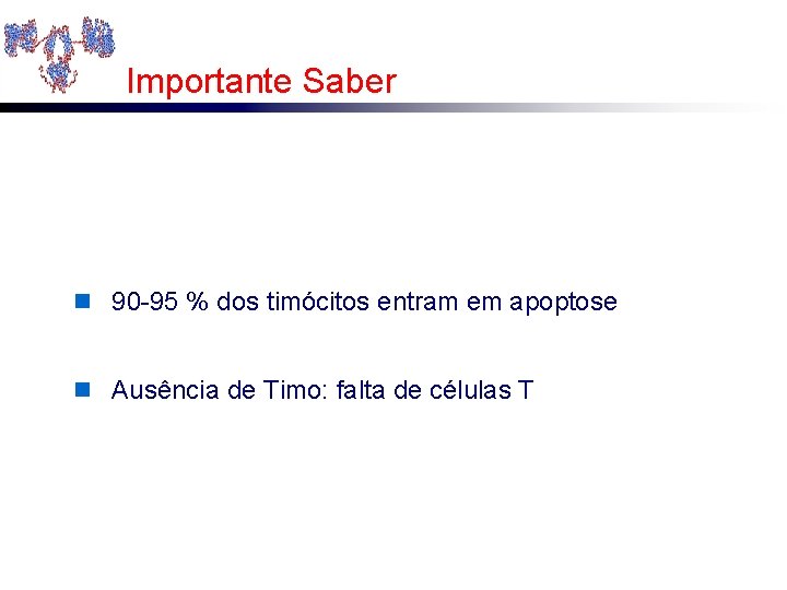 Importante Saber n 90 -95 % dos timócitos entram em apoptose n Ausência de