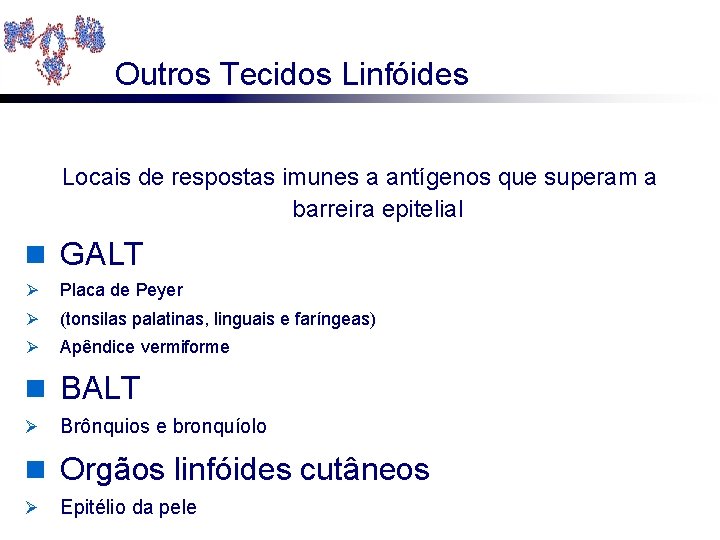 Outros Tecidos Linfóides Locais de respostas imunes a antígenos que superam a barreira epitelial