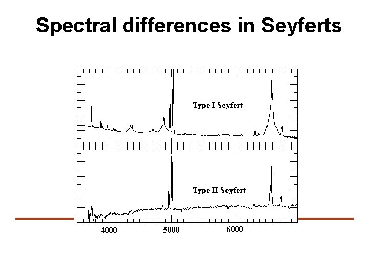 Spectral differences in Seyferts 