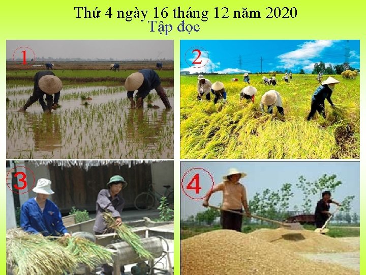 Thứ 4 ngày 16 tháng 12 năm 2020 Tập đọc 