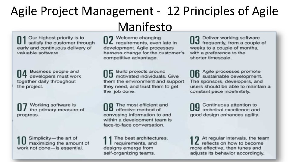 Agile Project Management - 12 Principles of Agile Manifesto 