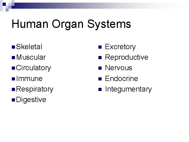 Human Organ Systems n Skeletal n n Muscular n n Circulatory n n Immune