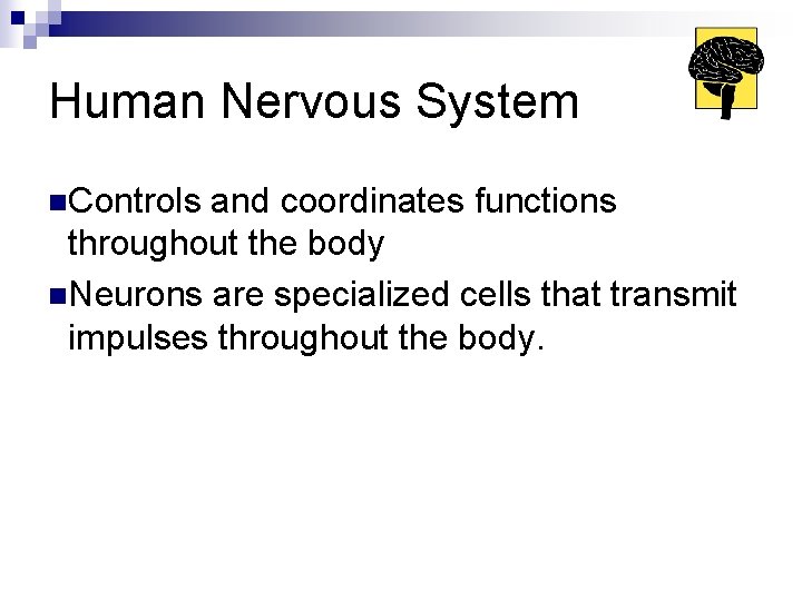 Human Nervous System n. Controls and coordinates functions throughout the body n. Neurons are
