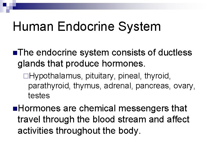 Human Endocrine System n. The endocrine system consists of ductless glands that produce hormones.