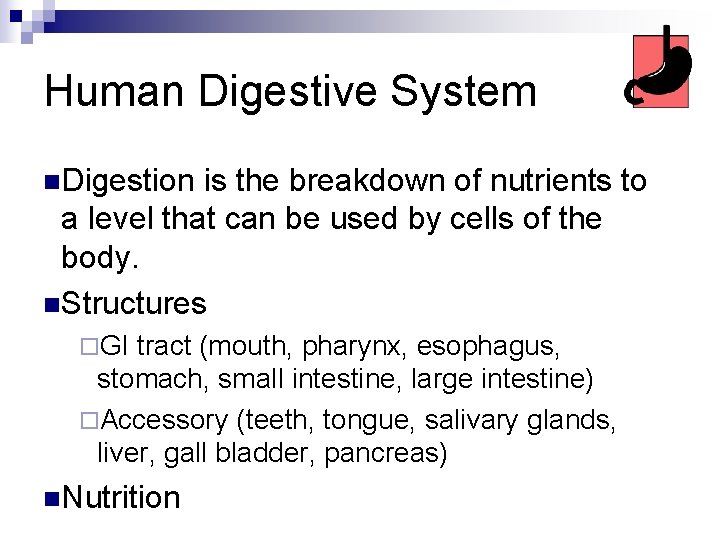 Human Digestive System n. Digestion is the breakdown of nutrients to a level that