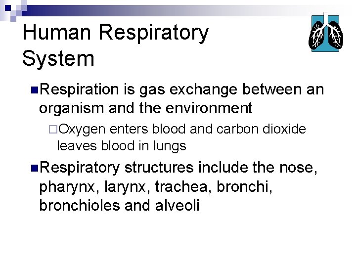 Human Respiratory System n. Respiration is gas exchange between an organism and the environment