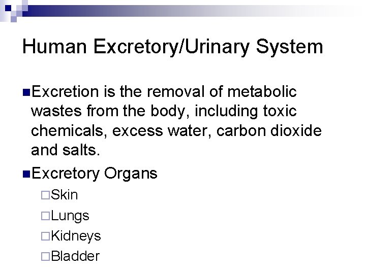 Human Excretory/Urinary System n. Excretion is the removal of metabolic wastes from the body,