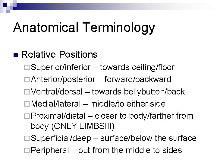 Anatomical Terminology n Relative Positions ¨ Superior/inferior – towards ceiling/floor ¨ Anterior/posterior – forward/backward