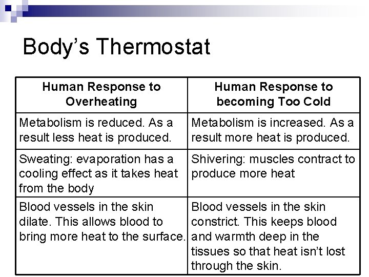 Body’s Thermostat Human Response to Overheating Human Response to becoming Too Cold Metabolism is