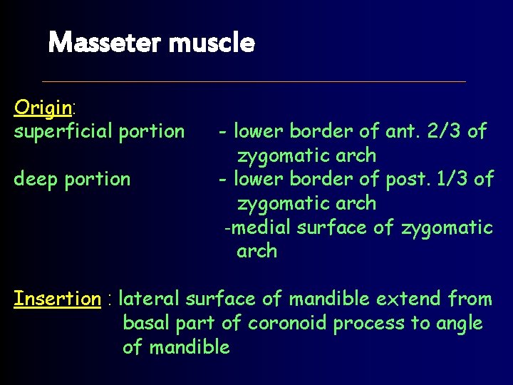 Masseter muscle Origin: superficial portion deep portion - lower border of ant. 2/3 of