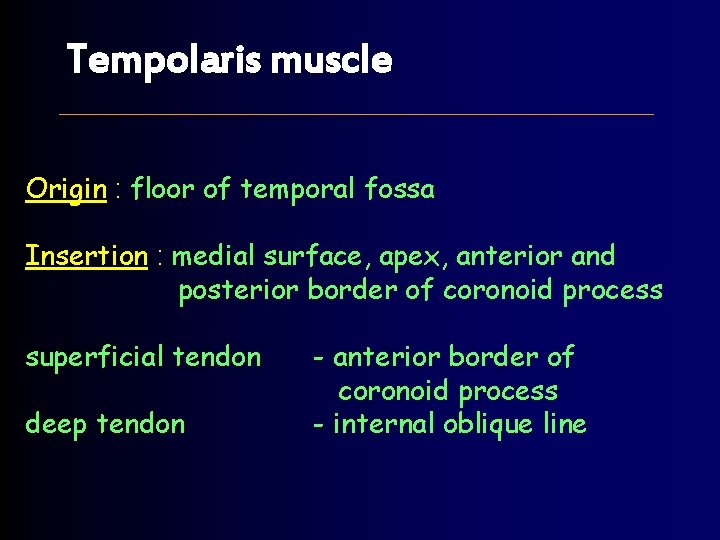 Tempolaris muscle Origin : floor of temporal fossa Insertion : medial surface, apex, anterior