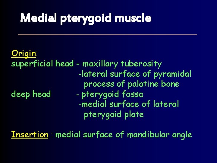 Medial pterygoid muscle Origin: superficial head - maxillary tuberosity -lateral surface of pyramidal process