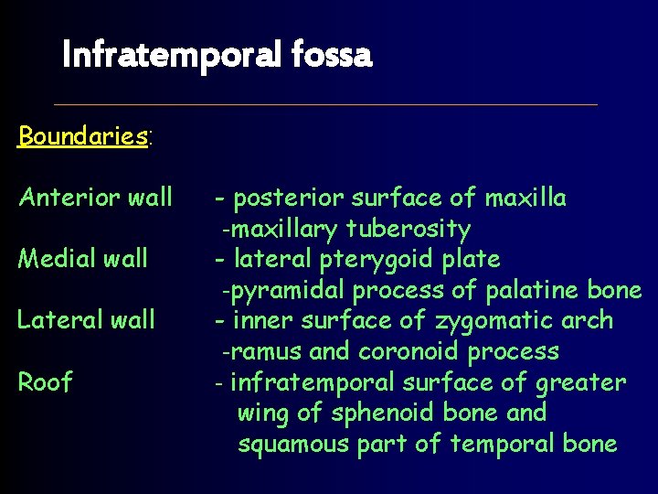 Infratemporal fossa Boundaries: Anterior wall Medial wall Lateral wall Roof - posterior surface of