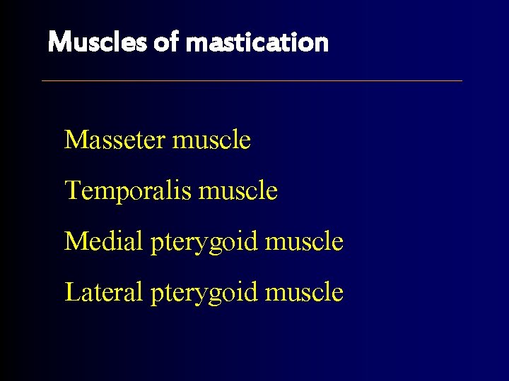 Muscles of mastication Masseter muscle Temporalis muscle Medial pterygoid muscle Lateral pterygoid muscle 