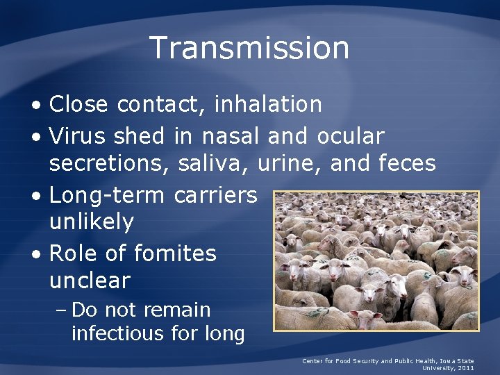 Transmission • Close contact, inhalation • Virus shed in nasal and ocular secretions, saliva,