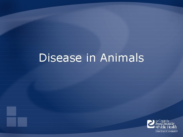 Disease in Animals 