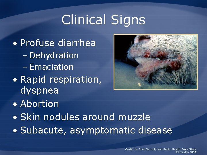 Clinical Signs • Profuse diarrhea – Dehydration – Emaciation • Rapid respiration, dyspnea •