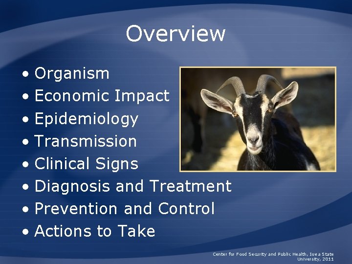 Overview • Organism • Economic Impact • Epidemiology • Transmission • Clinical Signs •