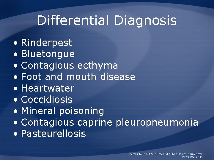 Differential Diagnosis • Rinderpest • Bluetongue • Contagious ecthyma • Foot and mouth disease