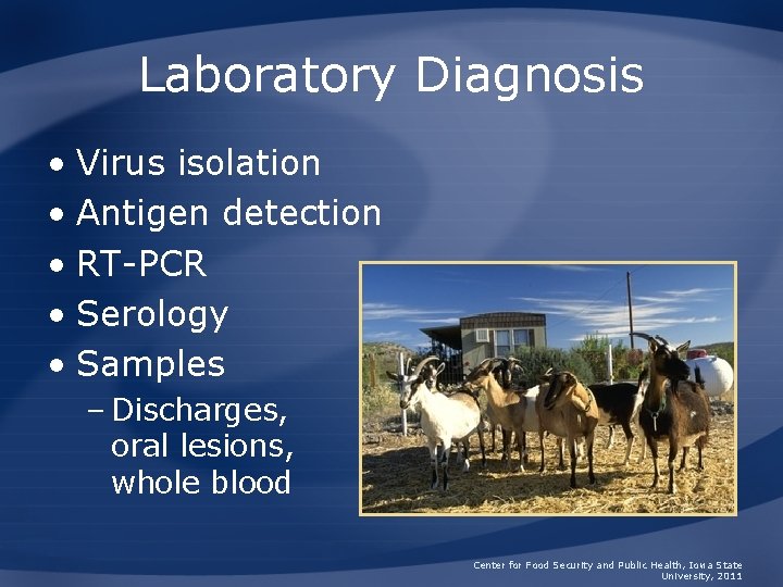 Laboratory Diagnosis • Virus isolation • Antigen detection • RT-PCR • Serology • Samples