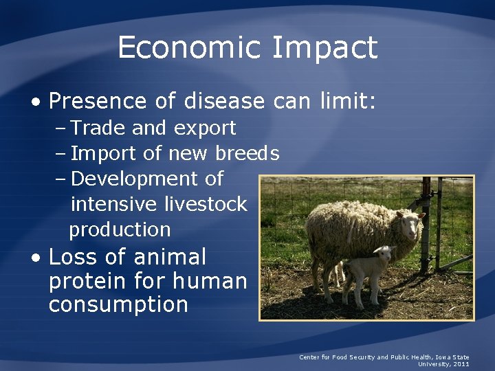 Economic Impact • Presence of disease can limit: – Trade and export – Import