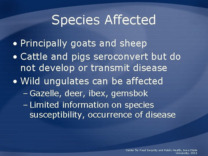 Species Affected • Principally goats and sheep • Cattle and pigs seroconvert but do