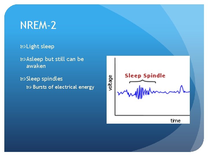 NREM-2 Light sleep Asleep but still can be awaken Sleep spindles Bursts of electrical