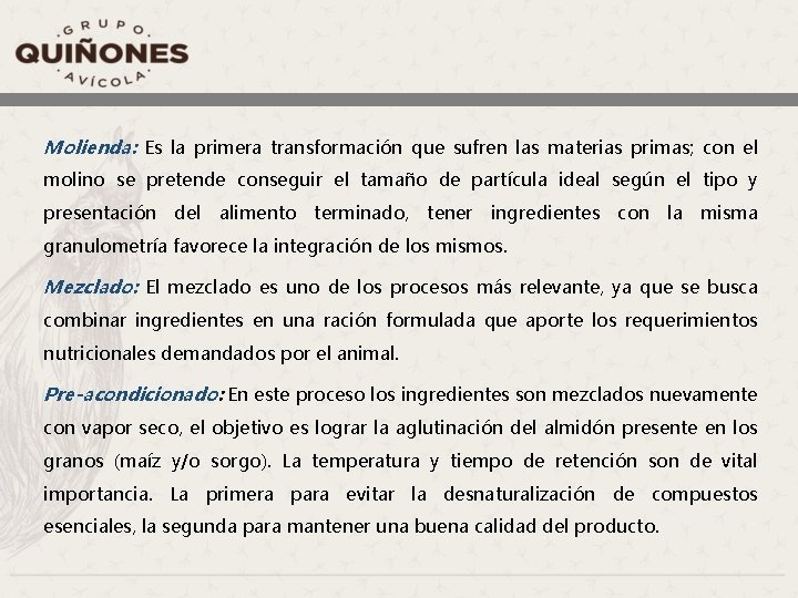 Molienda: Es la primera transformación que sufren las materias primas; con el molino se