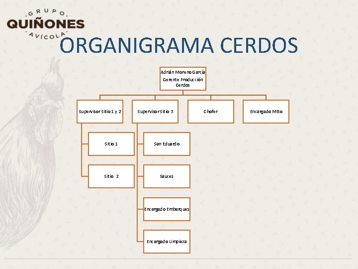 ORGANIGRAMA CERDOS Adrián Moreno García Gerente Producción Cerdos Supervisor Sitio 1 y 2 Supervisor