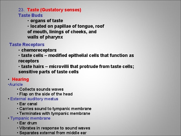 23. Taste (Gustatory senses) Taste Buds • organs of taste • located on papillae