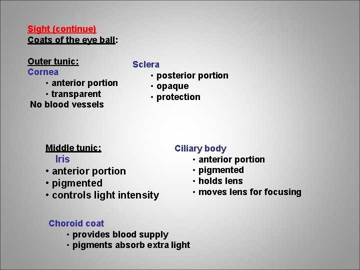 Sight (continue) Coats of the eye ball: Outer tunic: Cornea • anterior portion •