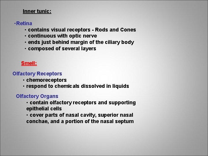 Inner tunic: • Retina • contains visual receptors - Rods and Cones • continuous