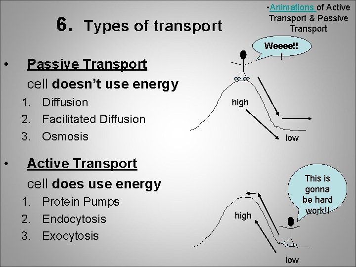 6. • Types of transport Weeee!! ! Passive Transport cell doesn’t use energy 1.