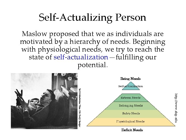 Self-Actualizing Person Maslow proposed that we as individuals are motivated by a hierarchy of