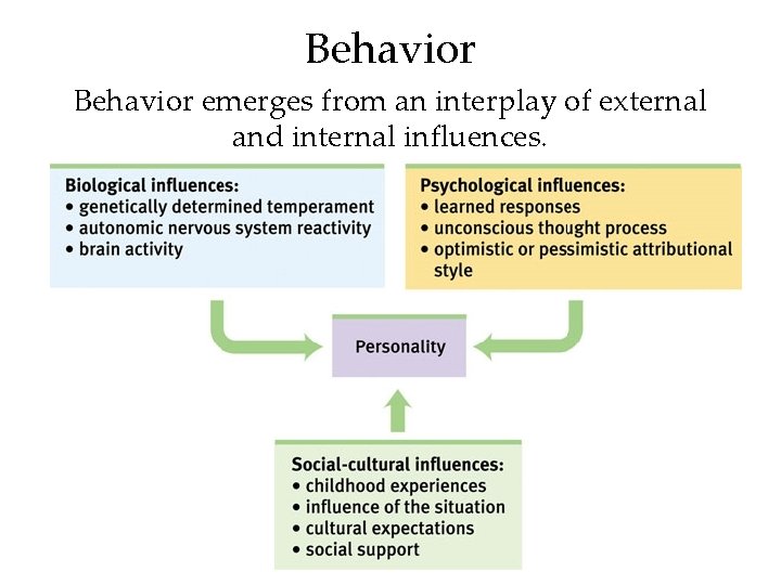 Behavior emerges from an interplay of external and internal influences. 