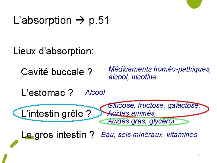 L’absorption p. 51 Lieux d’absorption: Médicaments homéo-pathiques, alcool, nicotine Cavité buccale ? L’estomac ?