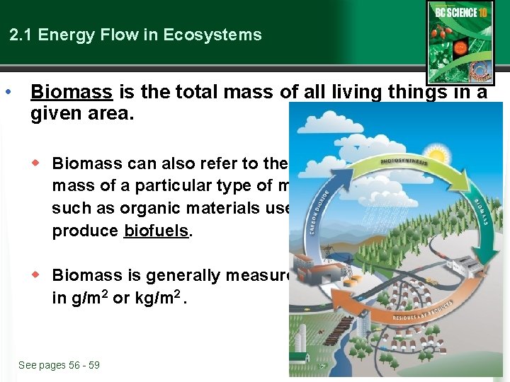 2. 1 Energy Flow in Ecosystems • Biomass is the total mass of all