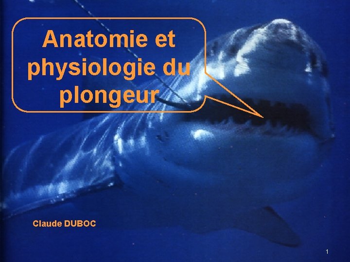 Anatomie et physiologie du plongeur Claude DUBOC 1 