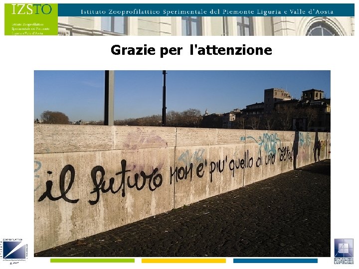 Grazie per l'attenzione 